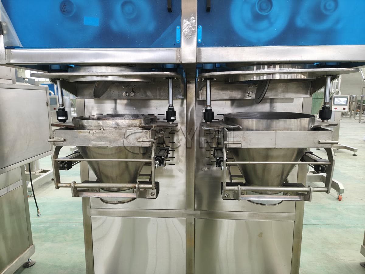 Fully automatic double-head powder filling machine