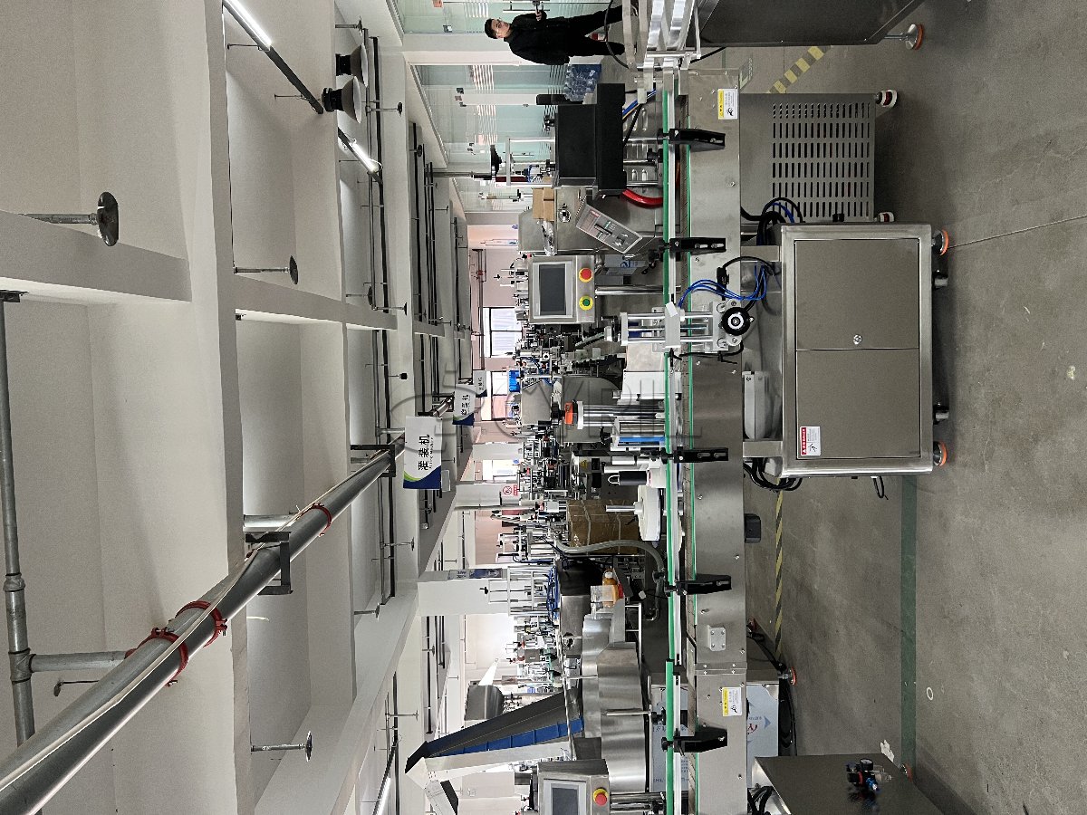 Double-head rotor pump production line