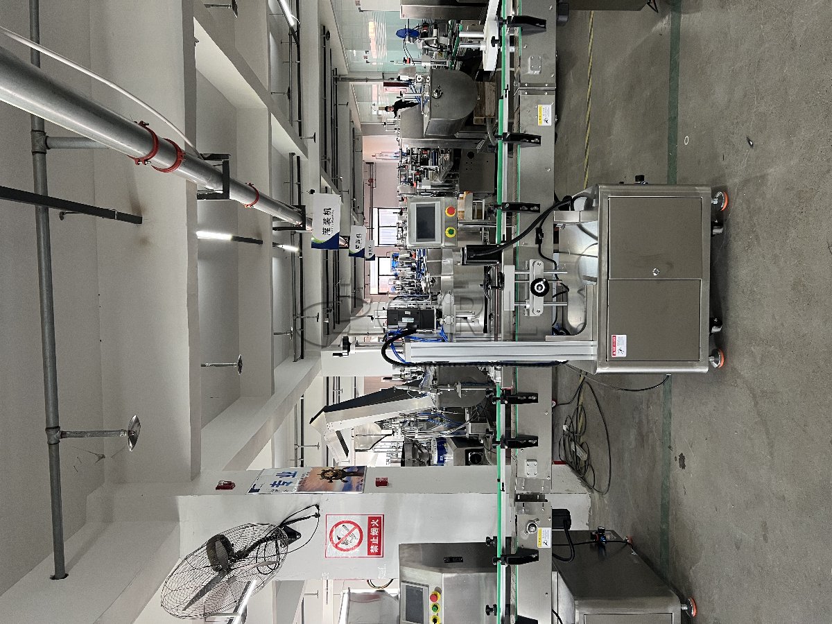 Double-head rotor pump production line