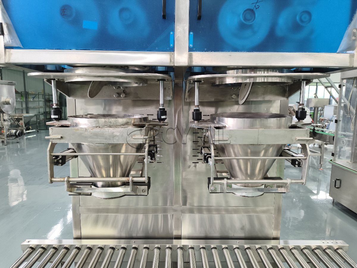 Double-head linear powder filling machine
