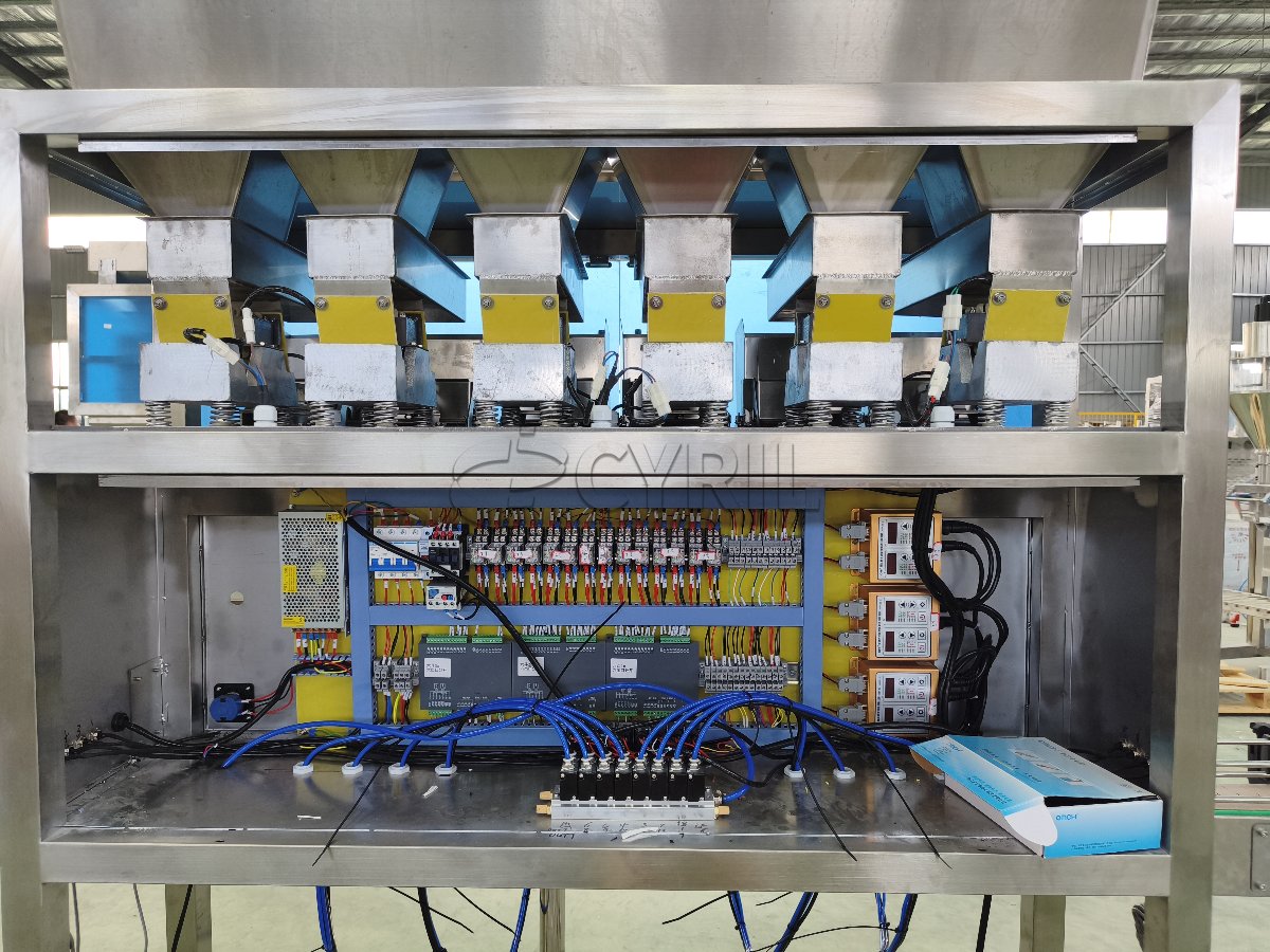6-Head Weigh-Filling Machine + 6-Head Unit