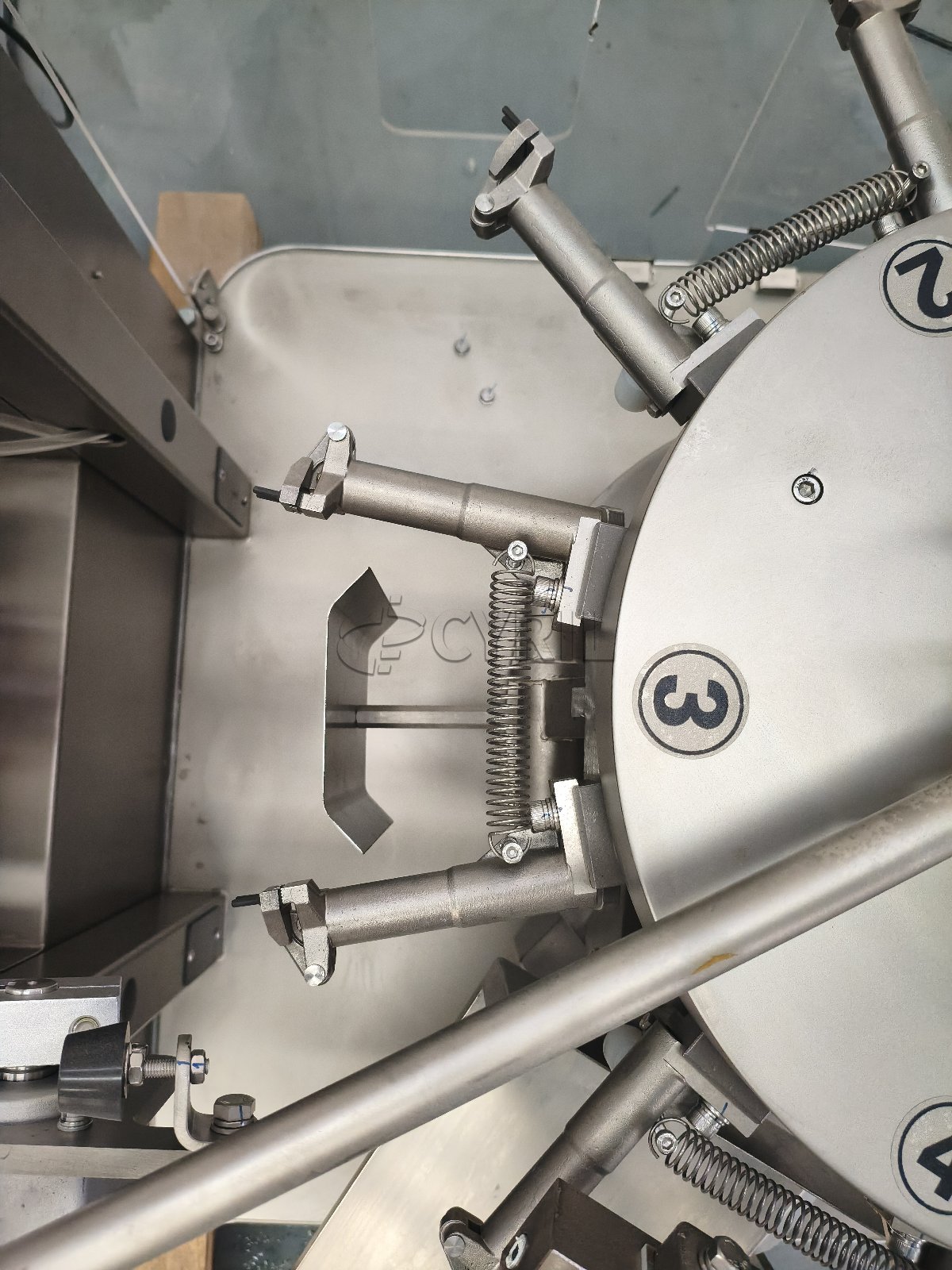 Compact Rotary Bag-Feeding Packaging Machine + Gear Pump
