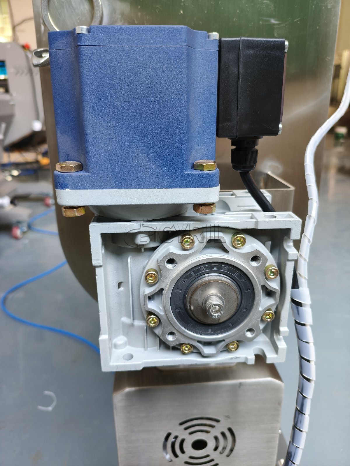 Single-head lobe pump paste filling machine