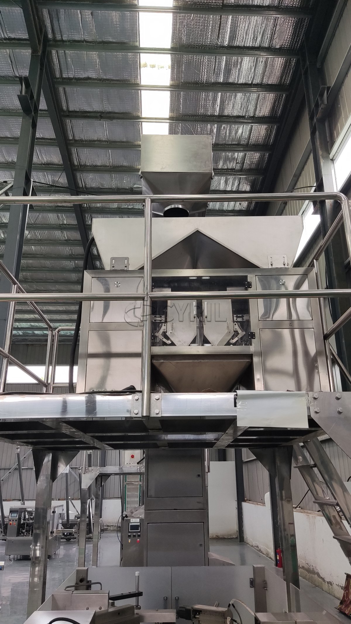 820 Rear-Seal Packaging Machine + Dual-Head Granule Weigher/Feeder + Square-Bucket Elevator